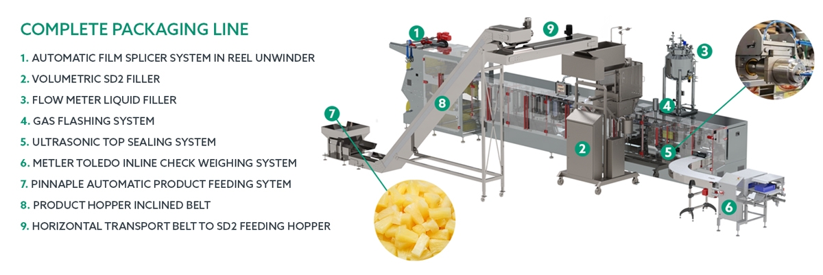 COMPLETE PACKAGING LINE FOR PINNEAPLE TIDBITS IN SYRUP